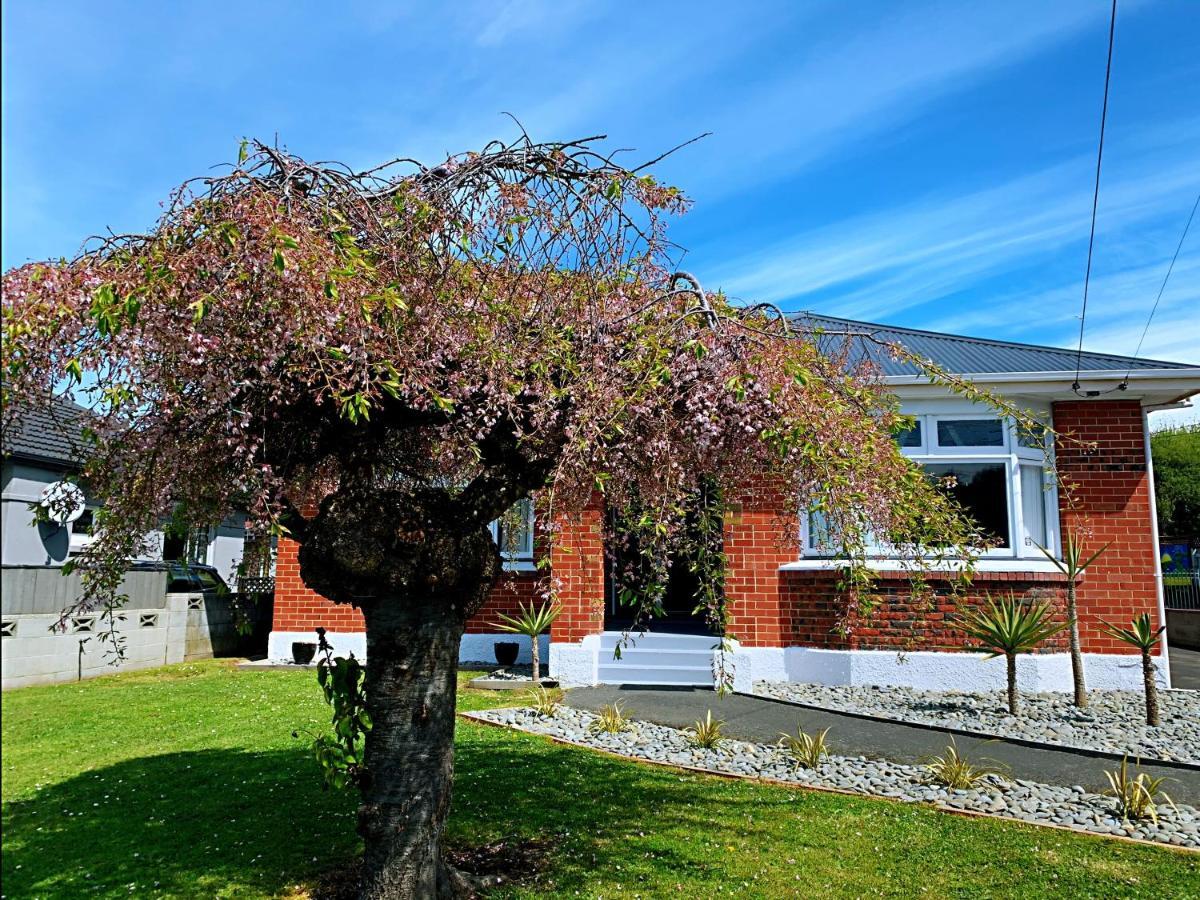 Andersons Bay Holiday House Villa Dunedin Kültér fotó