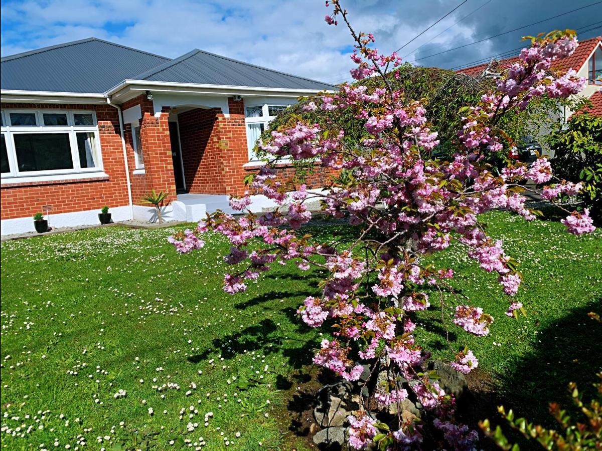 Andersons Bay Holiday House Villa Dunedin Kültér fotó